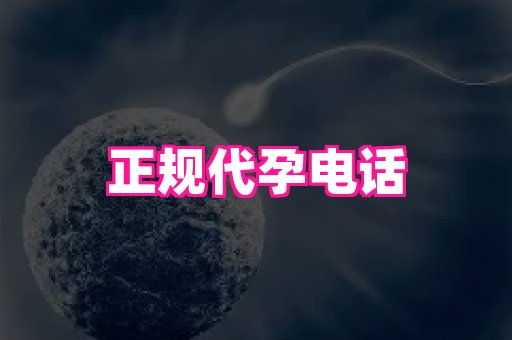 哈尔滨助孕网 1