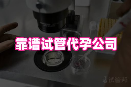 哈尔滨助孕网 4